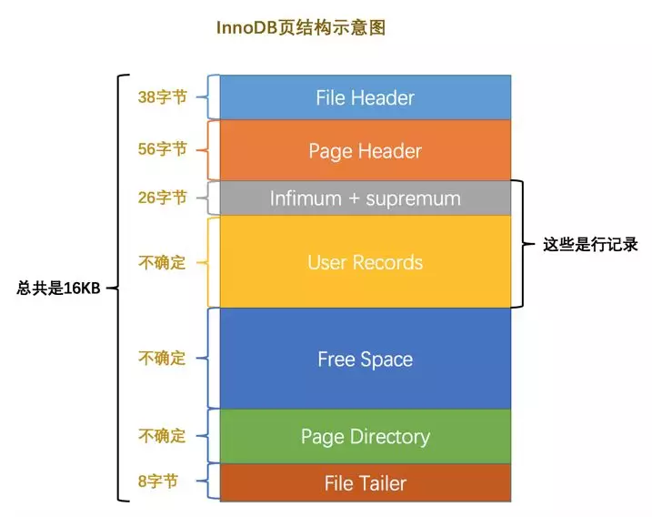 B+树